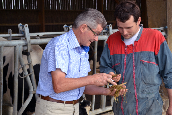 PRODUCTEUR-LAIT-UHT-MONTAGNE-LAITERIE-SLVA