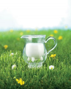 CARAFE-AUVERGNE-LAIT-UHT-MONTAGNE-LAITERIE-SLVA