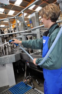 LAIT-DE-MONTAGNE-UHT-PRODUCTION-TRAITE-SLVA