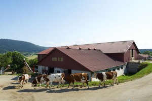 FERME-PRODUCTEUR-AUVERGNE-LAIT-UHT-MONTAGNE-LAITERIE-SLVA
