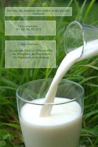 COMPOSITION-LAIT-UHT-MONTAGNE-LAITERIE-SLVA